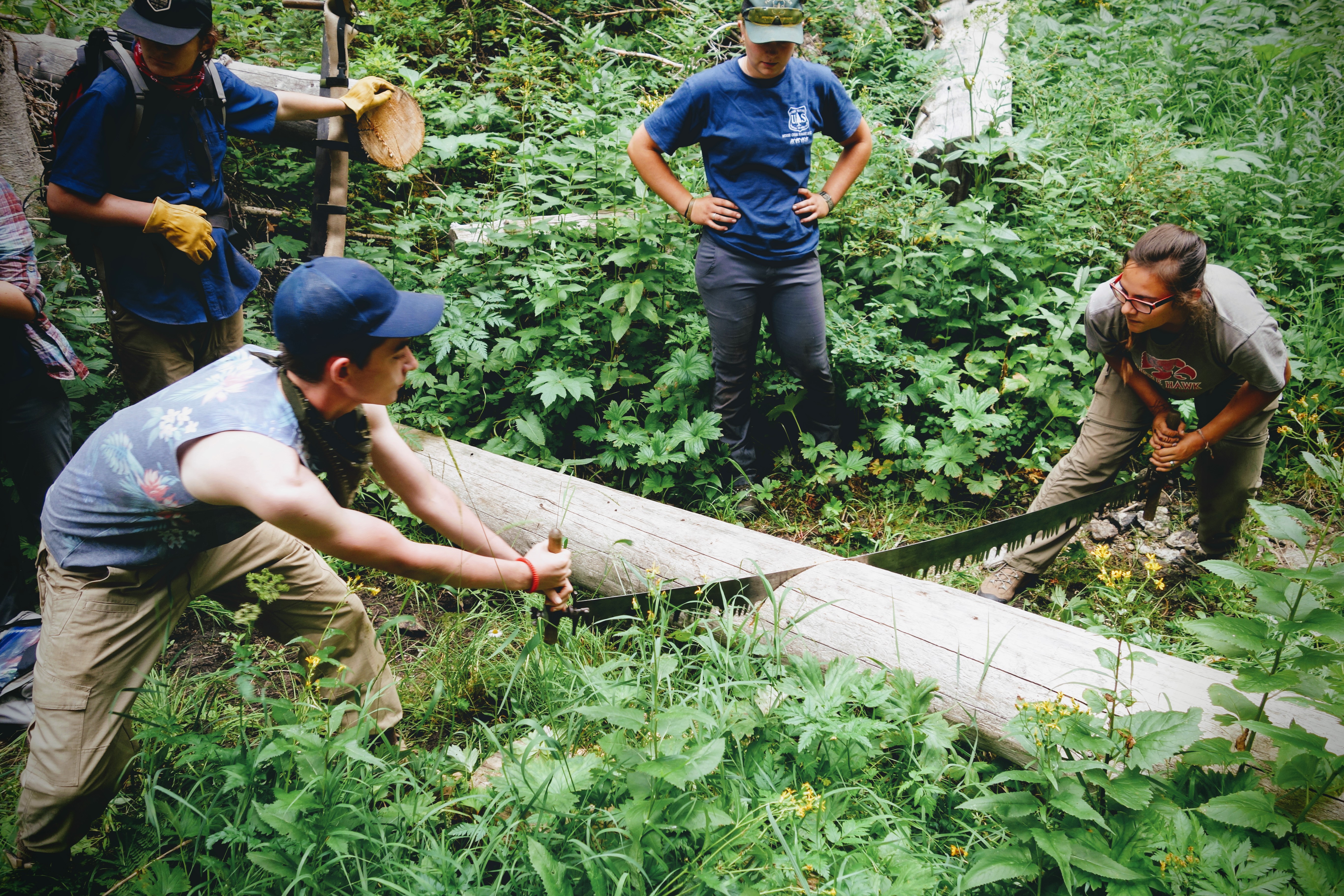 Two people operate a crosscut to cut through a two-foot-diameter log that is blocking a trail.