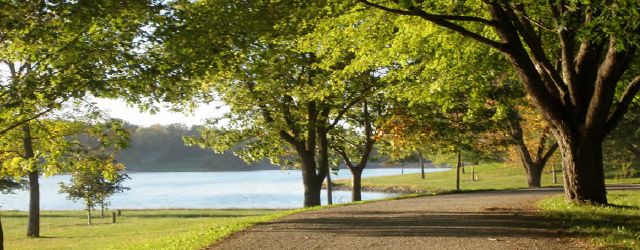 Photo of Kent Park lake and trail